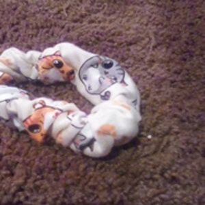 Cat scrunchie
